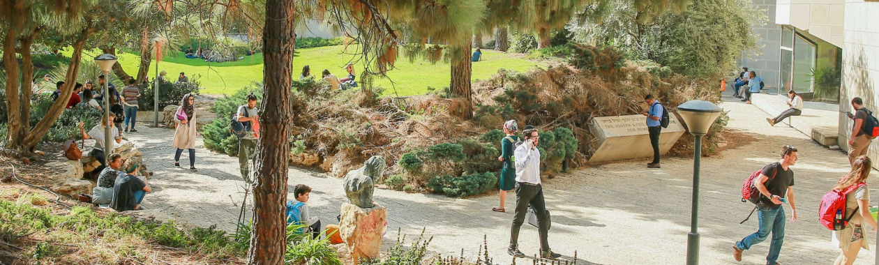 faculty of the humanities faculty of the humanities